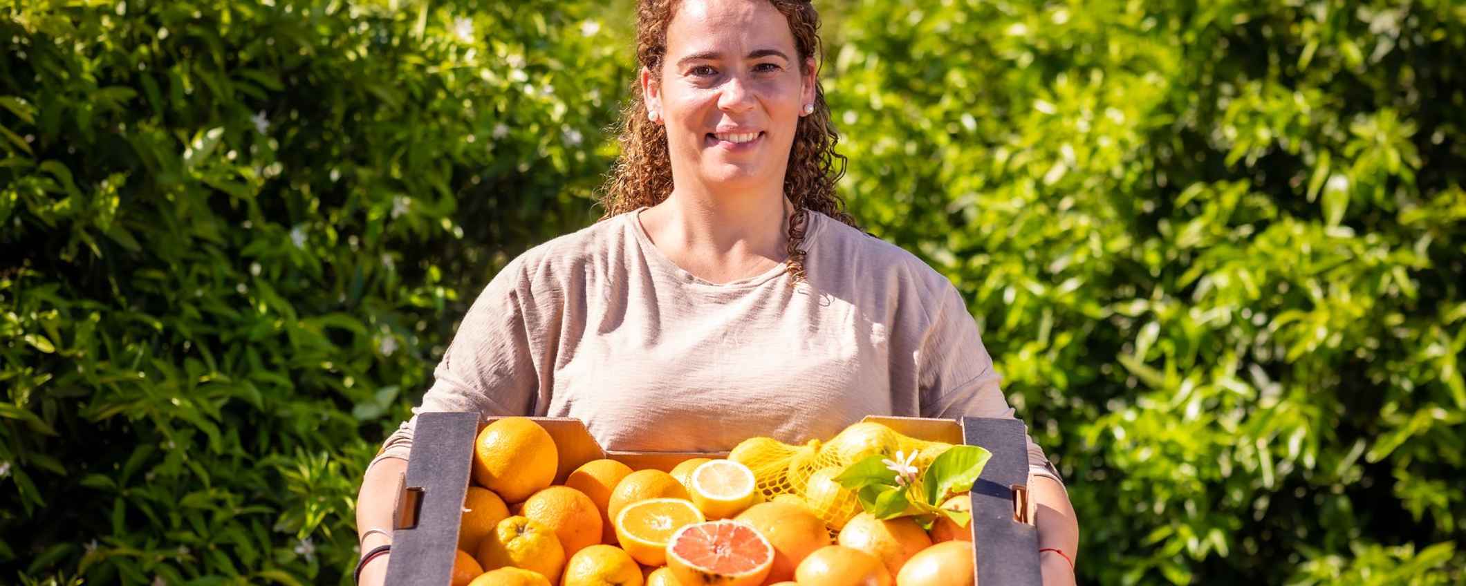 preambule Zwaaien Bungalow Vers geoogste fruit en groente direct van de boer