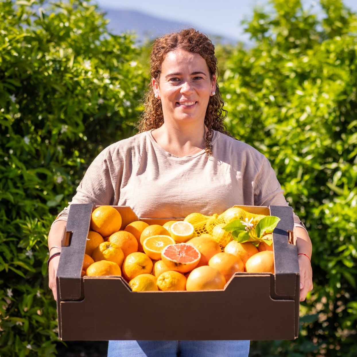 Vers geoogste fruit en groente direct van de boer: zo kan het voedselsysteem op de kop worden gezet