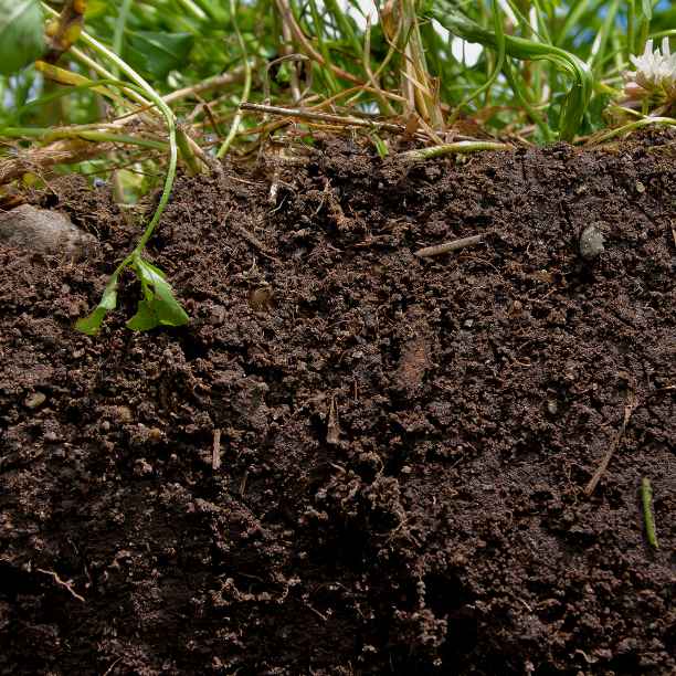 Triodos Bank ondertekent Finance for Biodiversity Pledge