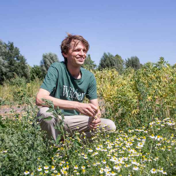 Deze thee brengt de boer en biodiversiteit verder