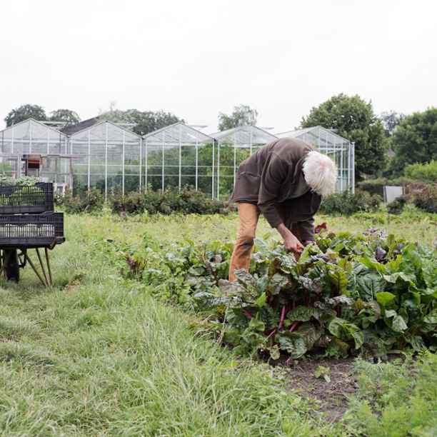 Zo wordt biologisch boeren het nieuwe normaal
