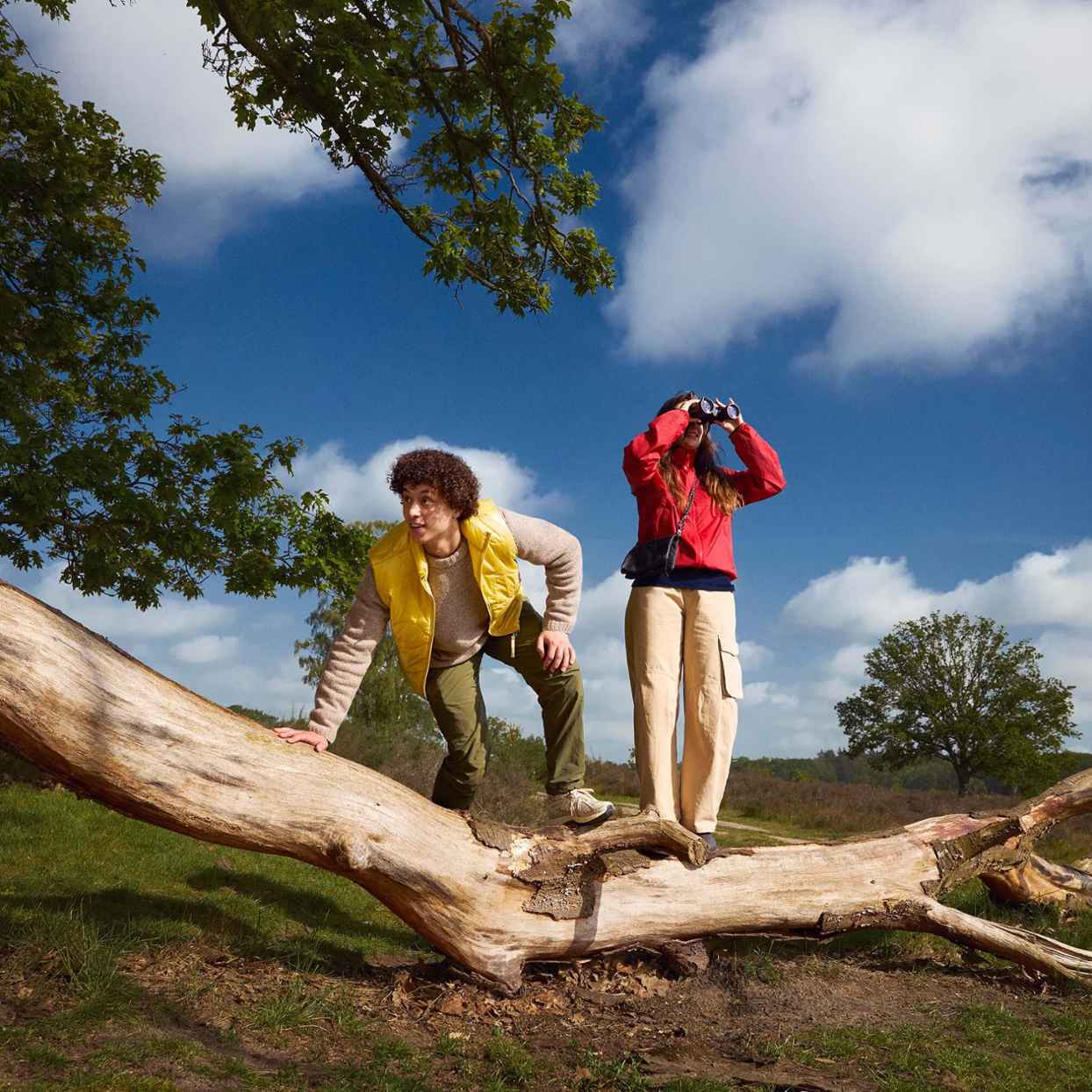 Screenshot or Official Image for triodos.nl - Triodos Bank | Een van de duurzaamste banken ter wereld