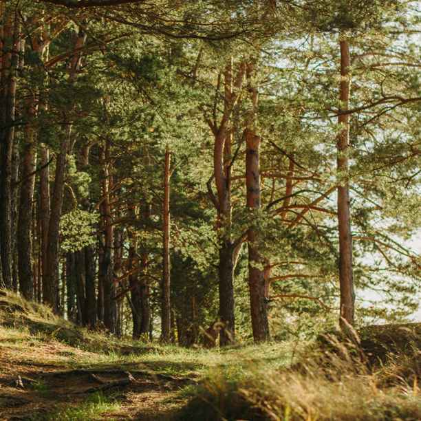 Ook de financiële sector leeft op te grote ecologische voet