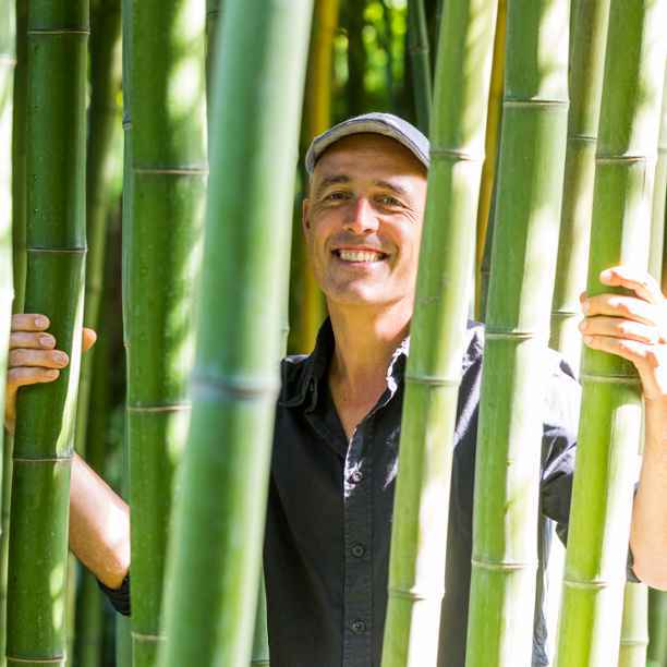 PERK BAMBOE | Bamboe als CO2-vanger