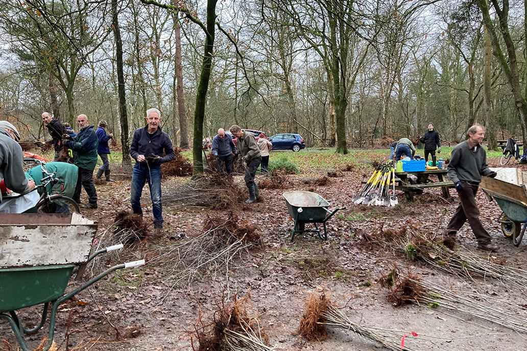 Meer Bomen Nu