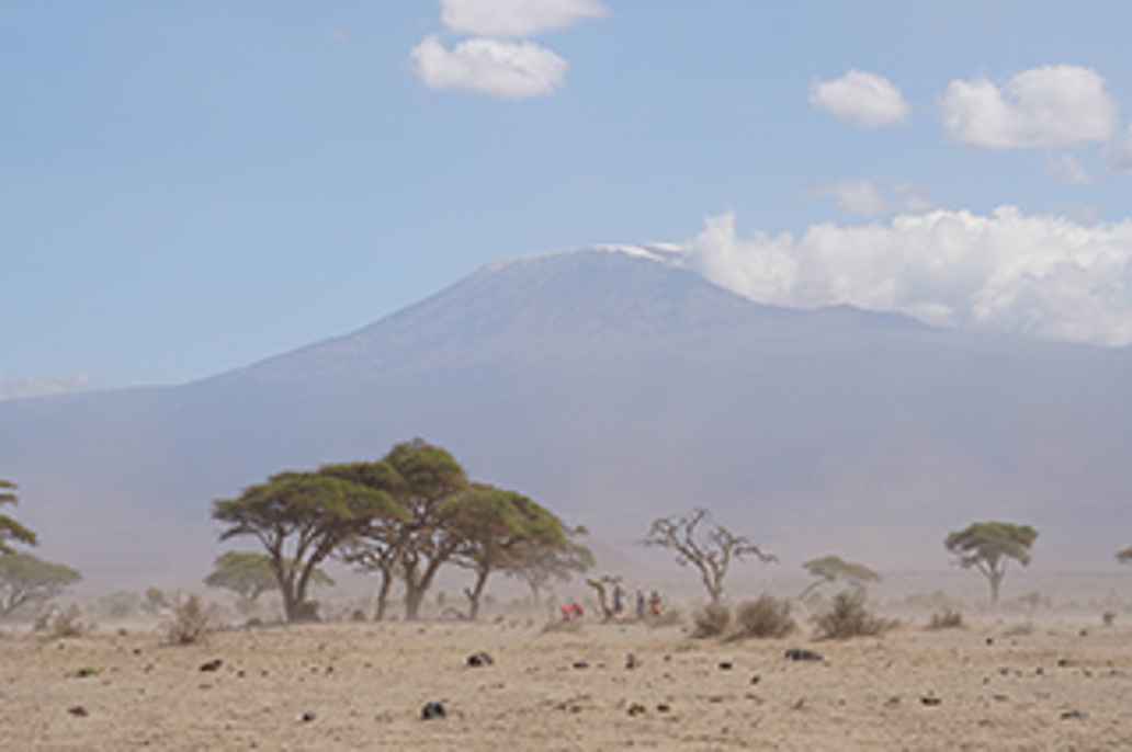 De Masai planten hun toekomst