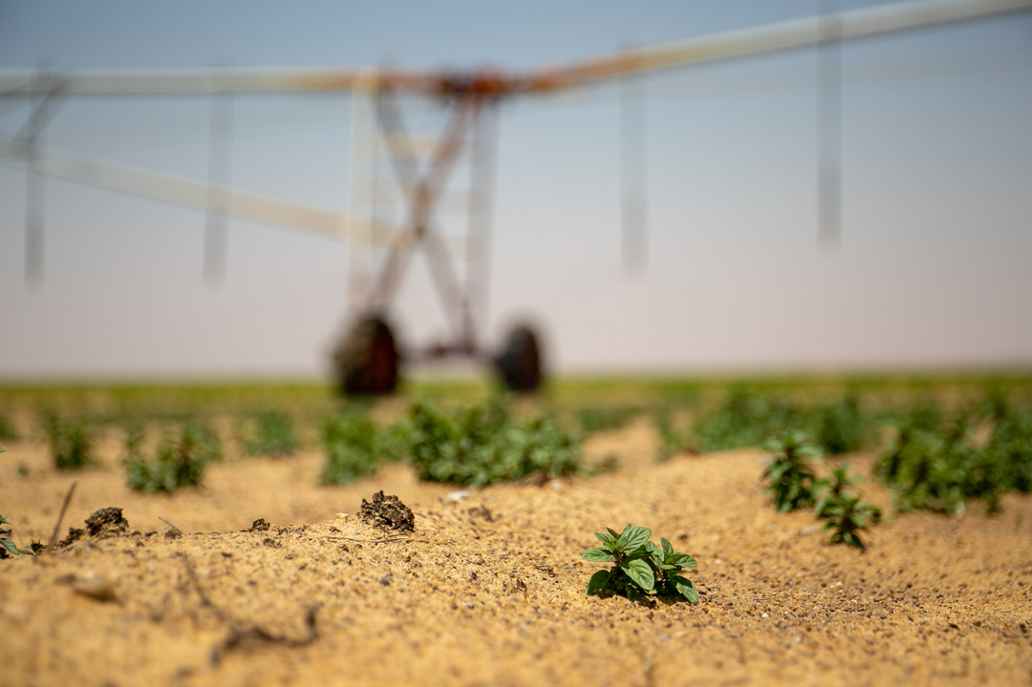 De systemen waarmee Sekem werkt om woestijngrond te irrigeren, zijn hypermodern en werken op zonne-energie.