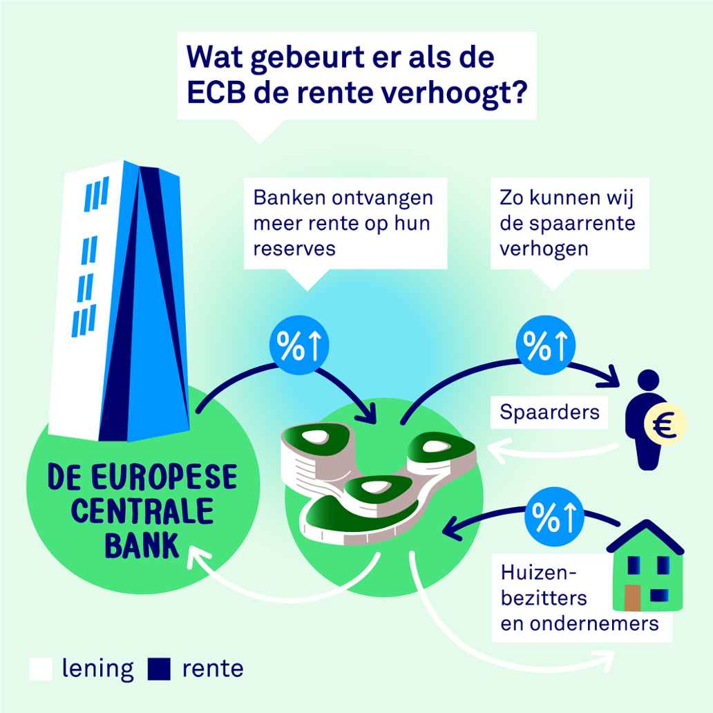 Infographic: Wat is de rol van de ECB?