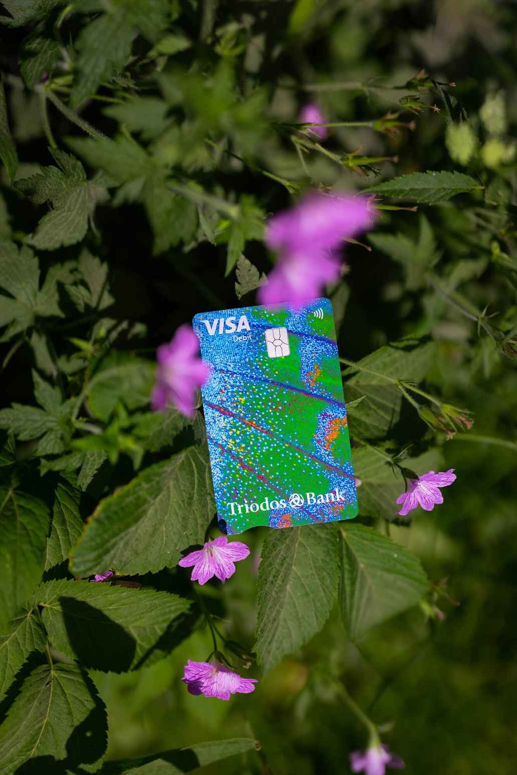De nieuwe betaalpas van Triodos Bank tussen bladeren en bloemen