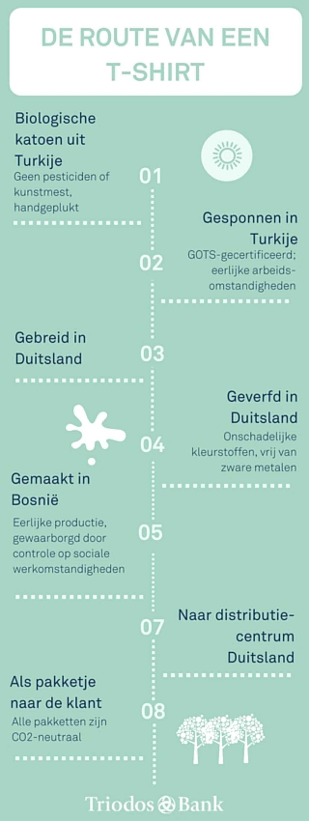 Infographic