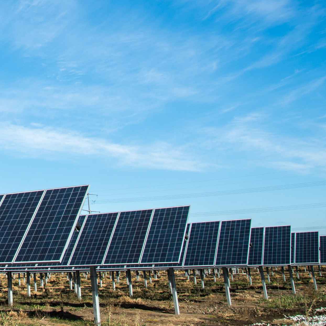 Veld met zonnepanelen