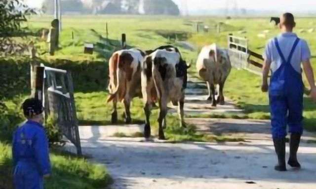 Zorgboerderij Hoeve Paradij